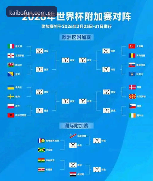2026世界杯观赛困境深度分析：签证危机如何影响全球球迷的赴美之旅